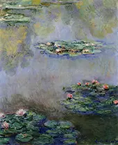 Water Lilies c1908 By Claude Monet