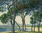Trees by the Seashore at Antibes 1888 By Claude Monet