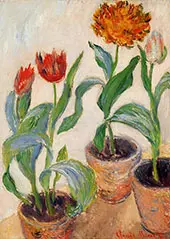 Three Pots of Tulips 1883 By Claude Monet
