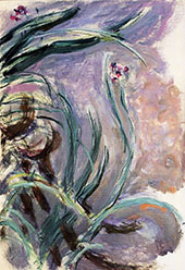 Irises c1914 By Claude Monet