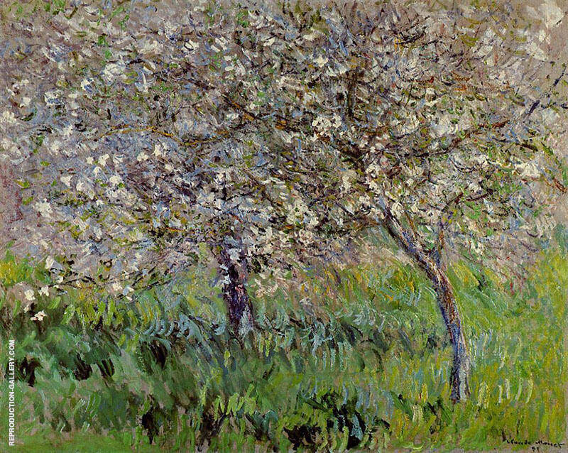 Apple Trees in Bloom at Giverny c1900 | Oil Painting Reproduction