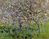 Apple Trees in Bloom at Giverny c1900 By Claude Monet