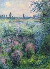 A Spot on the Banks of the Seine 1881 (Detail) By Claude Monet