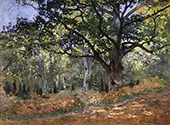 The Bodmer Oak Fountainbleau Forest 1865 By Claude Monet