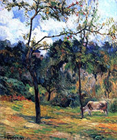 Cow in a Meadow Rouen 1884 By Paul Gauguin