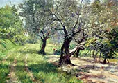 The Olive Grove By William Merritt Chase