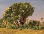 Study of Palm Trees c1888 By Jean Leon Gerome