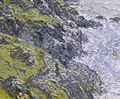 Land's End Cornwall By Walter Elmer Schofield