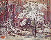 Snow in The Woods By Tom Thomson