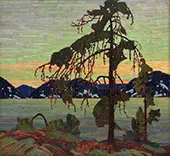 The Jack Pine By Tom Thomson