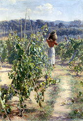 Grape Harvesting By Elin Kleopatra Danielson Gambogi