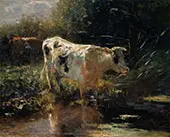 Cows Beside a Ditch c1885 By Willem Maris