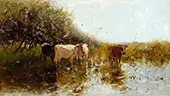 Cows in The Reeds By Willem Maris