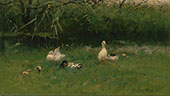 Ducks in The Grass near a Ditch c1900 By Willem Maris