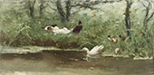 Ducks on The Ditch Side By Willem Maris