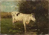 White Cow 1880 By Willem Maris