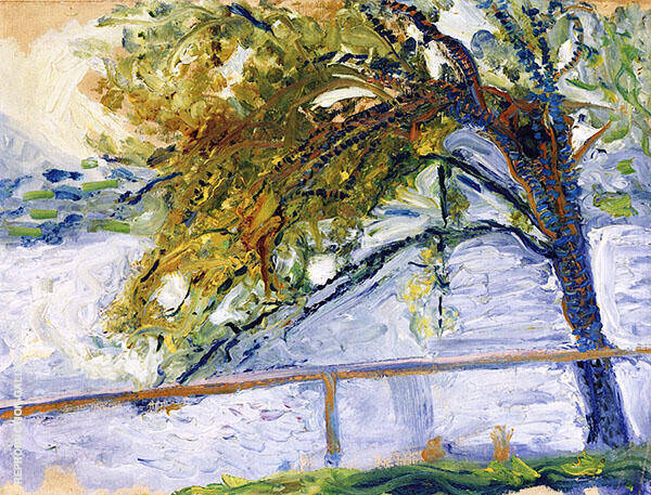 A Tree near Traunsee 1907 by Richard Gerstl | Oil Painting Reproduction