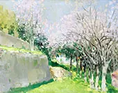 Almond Tree Cap Ferrat 1935 By Pierre Eugene Montezin