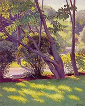 Lawn at Newton By William Paxton