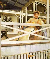 The White Veranda By William Paxton