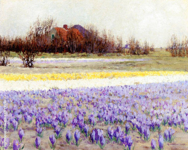 A Field of Crocusses by George Hitchcock | Oil Painting Reproduction