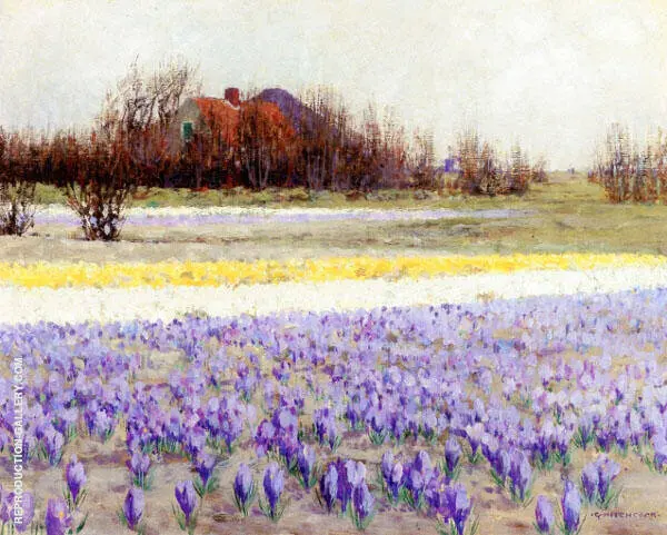 A Field of Crocusses By George Hitchcock