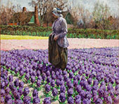 A Field of Hyacinths Holland By George Hitchcock