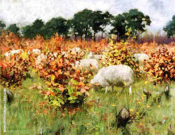 Grazing Sheep By George Hitchcock