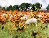 Grazing Sheep By George Hitchcock