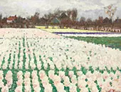 Hyacinth Fields By George Hitchcock