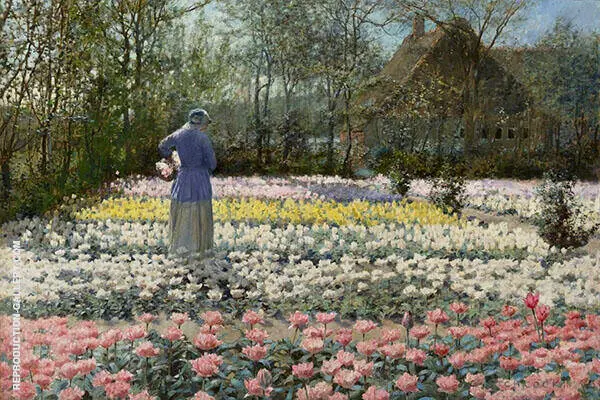 Tulip Culture 1889 By George Hitchcock