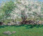 Apple Trees By John Leslie Breck