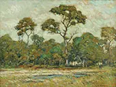 Hawks Nest By Clark Voorhees