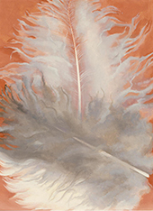 Feathers, White and Grey 1942 By Georgia O'Keeffe