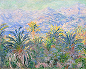 Palm Trees Bordighera 1884 By Claude Monet