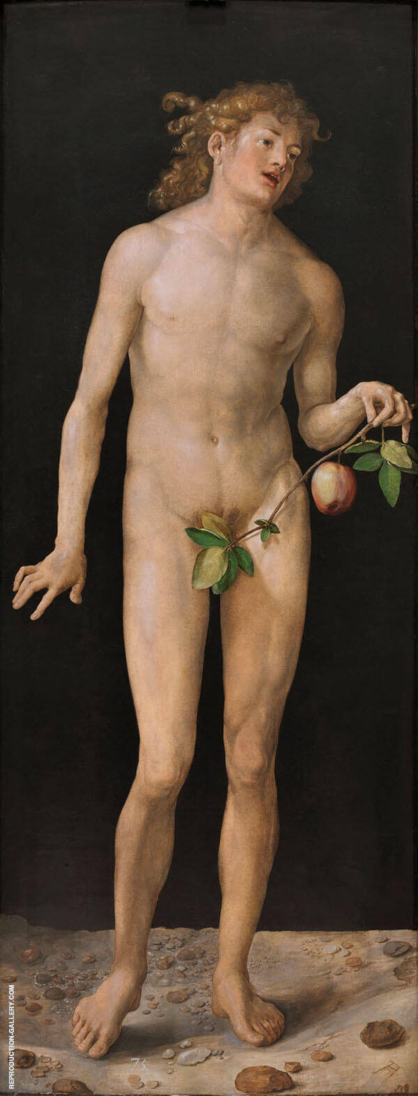 Adam 1507 by Albrecht Durer | Oil Painting Reproduction