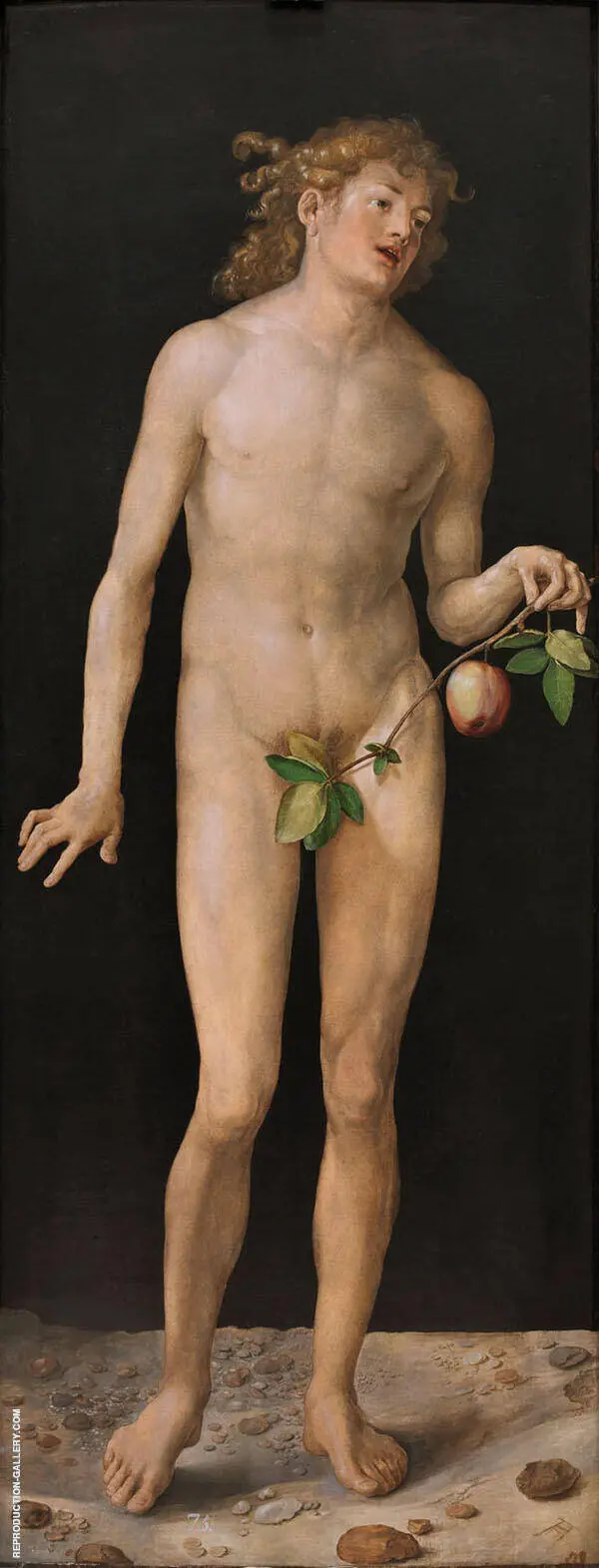 Adam 1507 By Albrecht Durer