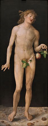 Adam 1507 By Albrecht Durer