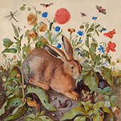 Hare 1502 By Albrecht Durer