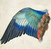 Left Wing of a Blue Roller c1500 By Albrecht Durer
