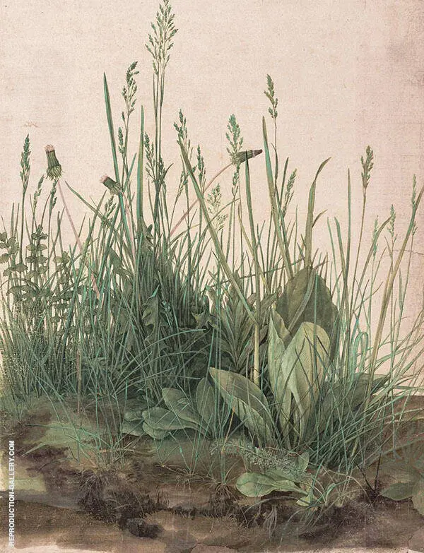 The Great Piece of Turf 1501 By Albrecht Durer