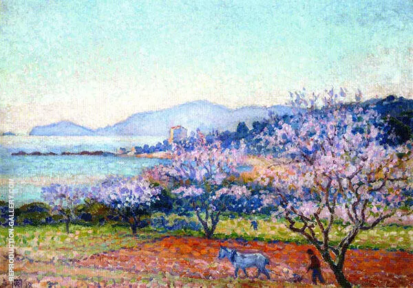 Almond Tree in Blossom By Theo van Rysselberghe