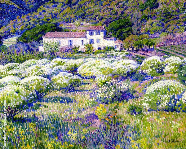 Anthemis in Flower By Theo van Rysselberghe