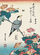 Mirabilis 1834 By Katsushika Hokusai