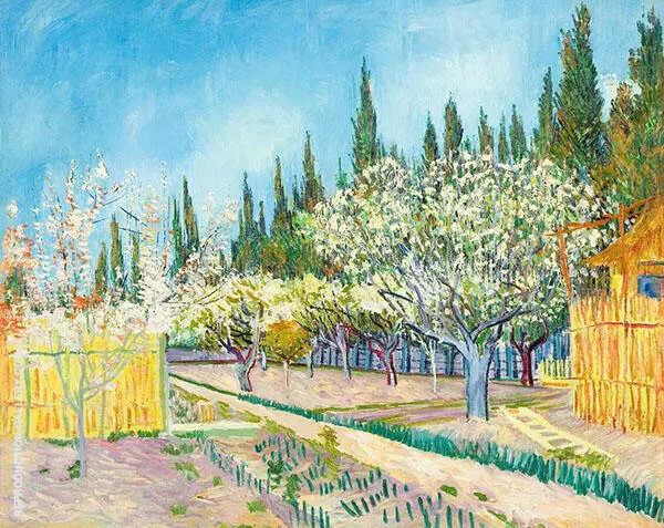Orchard Bordered by Cypresses 1888 By Vincent van Gogh