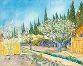 Orchard Bordered by Cypresses 1888 By Vincent van Gogh