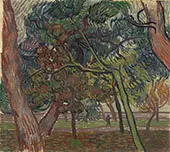 Pine Trees in The Garden of The Asylum 1889 By Vincent van Gogh