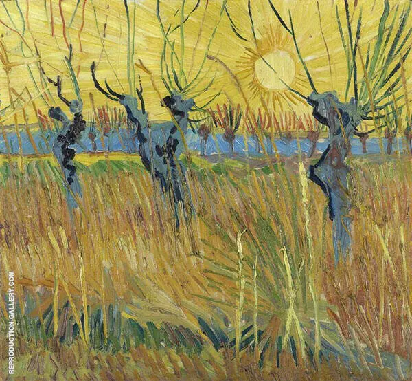 Pollard Willows at Sunset 1888 By Vincent van Gogh