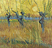 Pollard Willows at Sunset 1888 By Vincent van Gogh