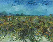 The Green Vineyard 1888 By Vincent van Gogh
